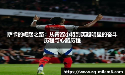 米乐M6