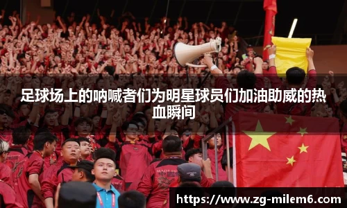 足球场上的呐喊者们为明星球员们加油助威的热血瞬间