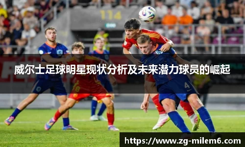 米乐体育官方网站